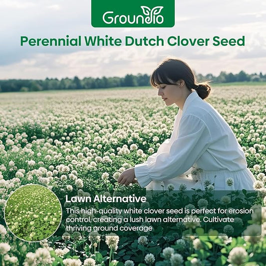 Perennial White Dutch Clover Seeds for Lawn, 2 lbs, Ground Cover Clover, Nitrocoated and Inoculated Seeds, Attracts Pollinators