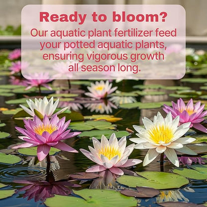 Aquatic Plant Fertilizer for Water Lily and Lotus,Water Lily Fertilizer Tablets-Fish Friendly,LotusFertilizer- Supports Lily and Lotus Blooming & Root Growth,Pond PlantFertilizer-100 Tablets