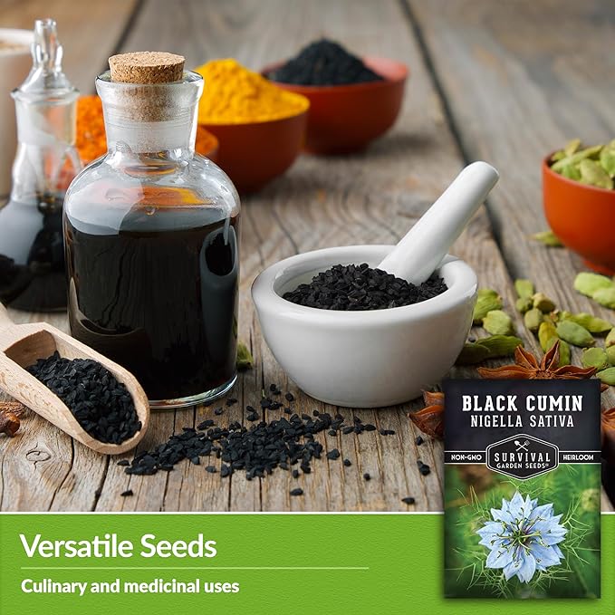 Survival Garden Seeds Black Cumin Seed for Planting - 1 Packet with Instructions to Plant and Grow Beneficial Nigella Sativa Plants in Your Home Vegetable Garden - Non-GMO Heirloom