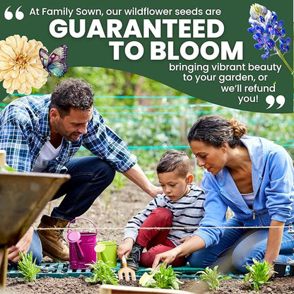Texas Bluebonnet – 400 Seeds for Planting – 2026 Season – 0.5 Ounce Pouch