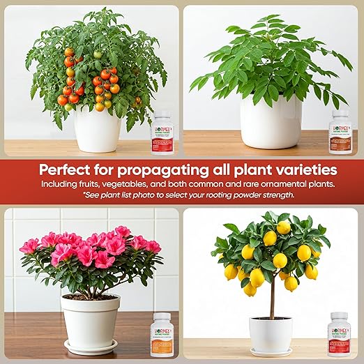 Hormex Rooting Powder Combo #3, 8, 16 (0.30-1.6 IBA) for Common Home Garden Plants to Difficult Hardwood - Root Powder, Root Stimulator for Plants, Rooting Hormone for Cuttings, Cloning & Propagation