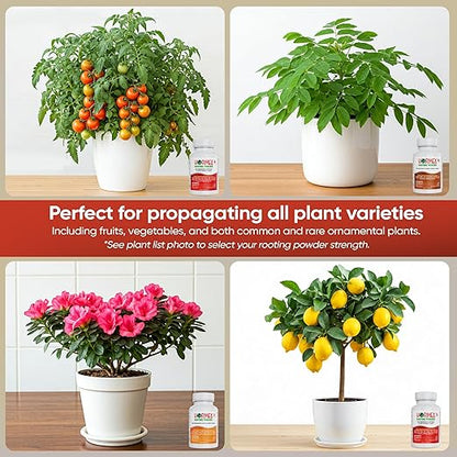 Hormex Rooting Powder Combo #3, 8, 16 (0.30-1.6 IBA) for Common Home Garden Plants to Difficult Hardwood - Root Powder, Root Stimulator for Plants, Rooting Hormone for Cuttings, Cloning & Propagation