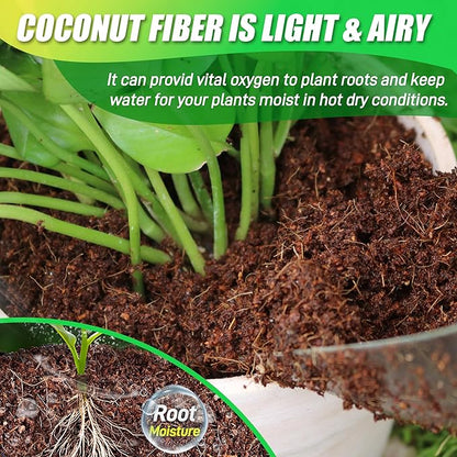 Coco Coir Brick for Plants-6 Pack Premium Coconut Bricks, 100% Organic Peat Moss, Fiber Coconut Husk for Planting, Gardening, Potting Soil Substrate