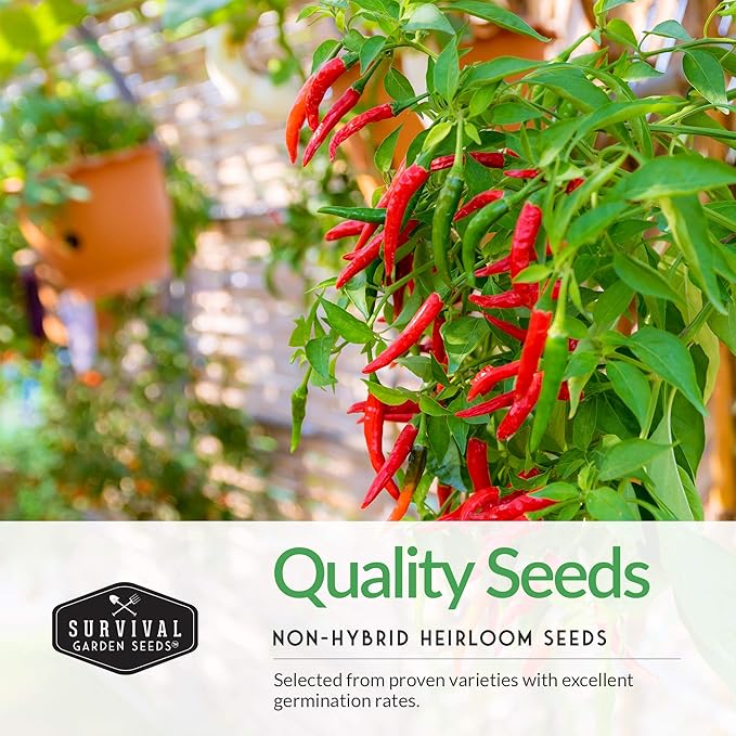 Hot Pepper Seeds Variety Pack for Planting | 4 Varieties: Jalapeno, Serrano, Cayenne & Habanero – Spicy Heirloom Chili Peppers for Hot Sauce & Salsa – Non-GMO – Survival Garden Seeds