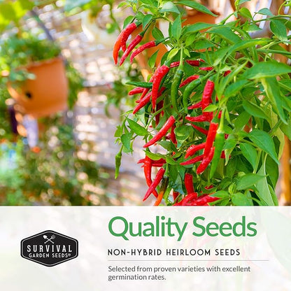 Hot Pepper Seeds Variety Pack for Planting | 4 Varieties: Jalapeno, Serrano, Cayenne & Habanero – Spicy Heirloom Chili Peppers for Hot Sauce & Salsa – Non-GMO – Survival Garden Seeds
