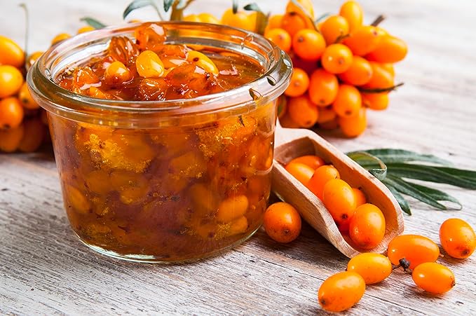 Sea Buckthorn 100 Seeds (Hippophae rhamnoides) Heirloom - Open Pollinated