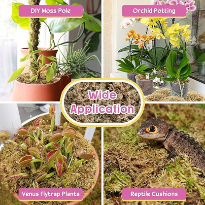 Legigo 14OZ Premium Sphagnum Moss for Plants- 16QT Natural Succulent Carnivorous Plant Moss Dried, Long Fiber Orchid Moss for Orchid Repotting Succulent Sarracenia Potted Plants Gardening and Reptiles