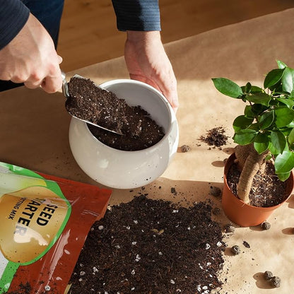 Seed Starter Potting Soil Mix 1qt, Seed Starting Mix for Germination and Growth, Loamy Compost Well-Drainaged Soil Fit for Vegetable, Flower, houseplant