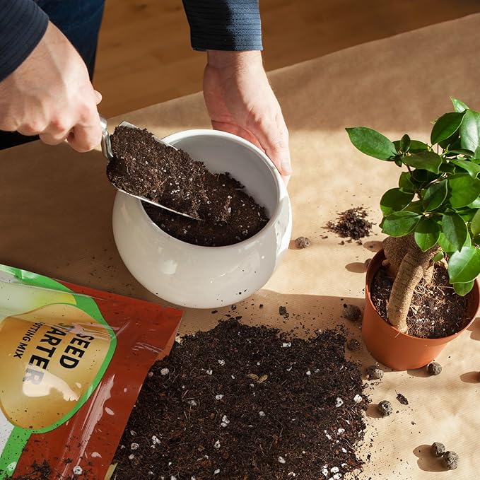 Seed Starter Potting Soil Mix 2qt, Seed Starting Mix for Germination and Growth, Loamy Compost Well-Drainaged Soil Fit for Vegetable, Flower, houseplant