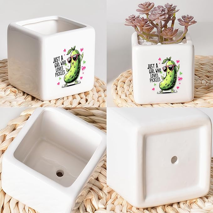 Pickle Succulent Planter Flower Plant Pot Small, Gifts for Women Teens Girls Kids, Pickle Lovers Themed Stuff Accessories Things Decor Merch, Home Office Table Desk Decoration!