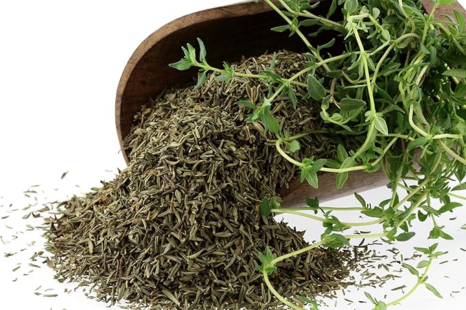 Seeds Common English Thyme Herbs for Planting Non GMO 500 Seeds