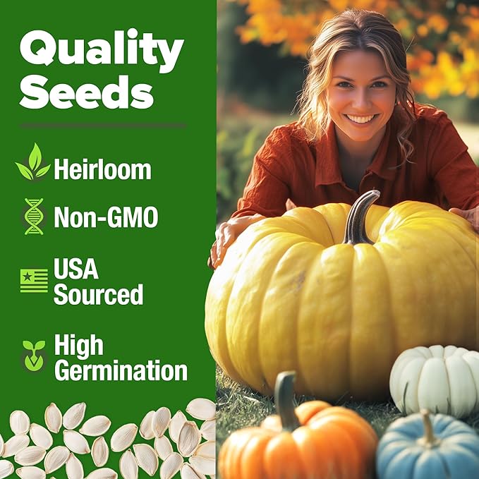 HOME GROWN Pumpkin Seeds for Planting - 5 Variety Mix - 40 Seeds - Heirloom Non GMO USA - Vegetable Garden - Edible & Jack O Lanterns - Connecticut Field Blue White Mini - Autumn Harvest
