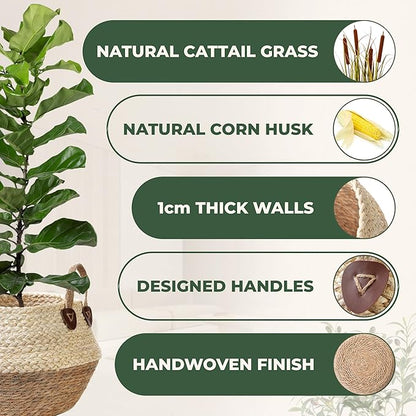 Pot for Artificial Tree Indoor, Vase for Olive Tree Indoor, Fake Plant Pot, Planter for Faux Plant (10" D x 12" H, Woven Plant Basket, Large)