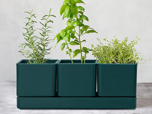 D'vine Dev Herb Garden Planter Set, Plastic Plant Pots with Drainage and Saucer, Indoor Succulent Cactus Vegetable Pot for Windowsill, Garden Balcony, Green, Set of 1, 76-V-C-1