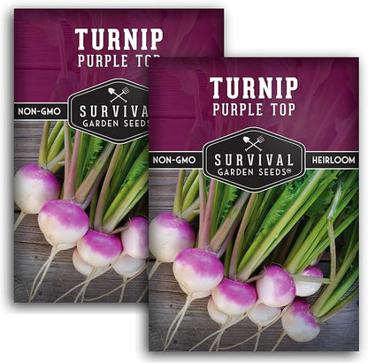 Turnip Seeds for Planting | Purple Top Heirloom Non-GMO Variety | Root Vegetable for Fall & Spring Home Gardens - Survival Garden Seeds (2 Packs)