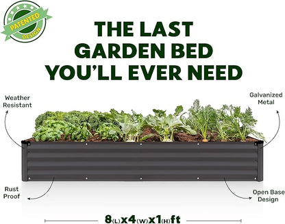 Plant & Plot Galvanized Raised Garden Beds Outdoor // 8×4×1 ft (2-Pack) Planter Raised Beds for Gardening, Vegetables, Flowers // Large Metal Garden Box // Patented Tool-Free Design (Dark Gray)