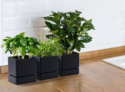 D'vine Dev 4 Inch Herb Planter Pot, Plastic Planter with Drainage Holes and Saucer, Modern Decorative Gardening Pot for Indoor Plants, Flowers, Herbs, Succulents, Black, Set of 3, 76-Y-B3-1
