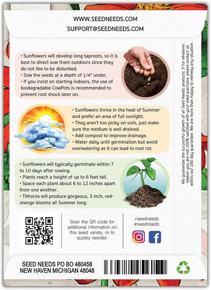 Seed Needs Mexican Sunflower Seeds for Planting Tithonia rotundifolia Flowers - Heirloom & Open Pollinated Flower Seed - Annual Wildflower to Plant a Butterfly Garden (5 Packs)
