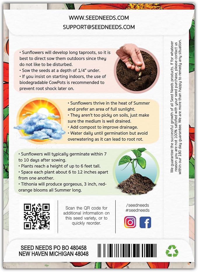 Seed Needs Mexican Sunflower Seeds for Planting Tithonia rotundifolia Flowers - Heirloom & Open Pollinated Flower Seed - Annual Wildflower to Plant a Butterfly Garden (2 Packs)