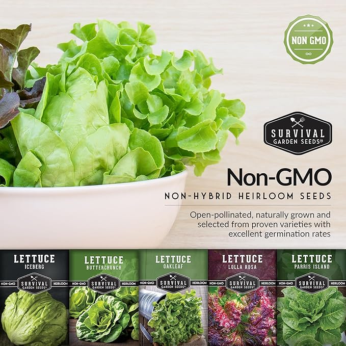 Lettuce Seeds 5-Variety Collection – Heirloom Romaine (Parris Island), Buttercrunch, Iceberg, Oakleaf, Lolla Rosa Lettuces for Planting – Non-GMO, Open-Pollinated – Survival Garden Seeds