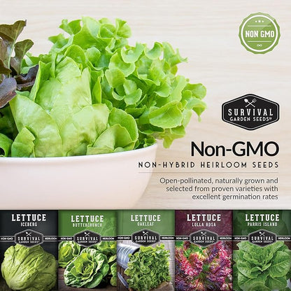 Lettuce Seeds 5-Variety Collection – Heirloom Romaine (Parris Island), Buttercrunch, Iceberg, Oakleaf, Lolla Rosa Lettuces for Planting – Non-GMO, Open-Pollinated – Survival Garden Seeds