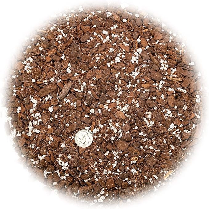 GARDENERA Monstera Ginny Planting Mix - Promotes Steady Growth and Healthy Leaves - 10 Quart (2 Bags of 5 Quart)