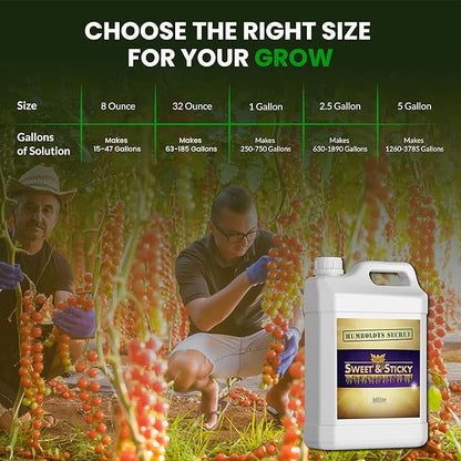 Humboldts Secret Sweet & Sticky Carbohydrate and Saccharide Plant Energy Additive | Indoor and Outdoor Plant Nutrients Enhancer for Growth and Aroma | Boosts Flavor and Development | 2.5 Gallon