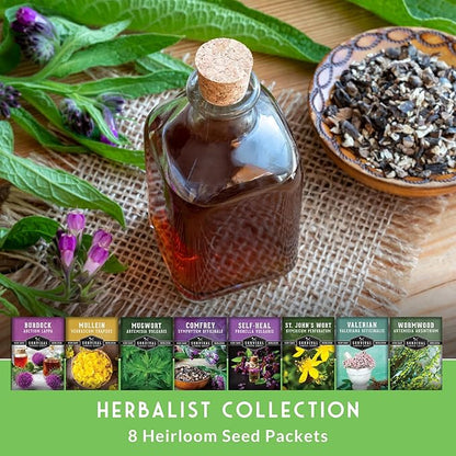 Advanced Medicinal Herb Seeds Collection – Variety Pack for Planting with Mullein, St John’s Wort, Valerian, Mugwort – Heirloom Apothecary Herbalist Seed Bundle - Survival Garden Seeds