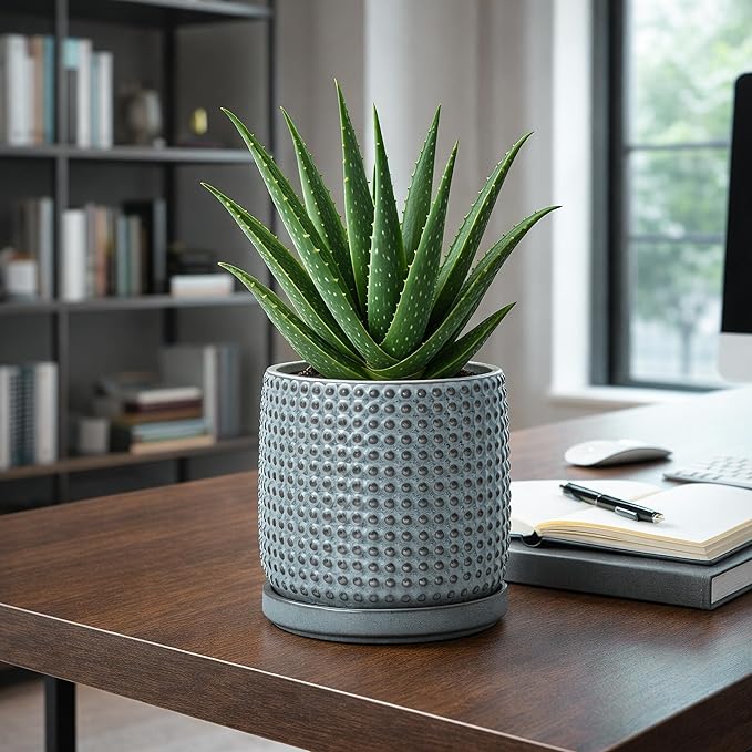 D'vine Dev 6 Inch Ceramic Beaded Stoneware Planter Pot - Flower Pot with Drainage Holes and Saucers for Indoor Succulent Plants or Flowers, Graphite Blue, 27-C-X-9