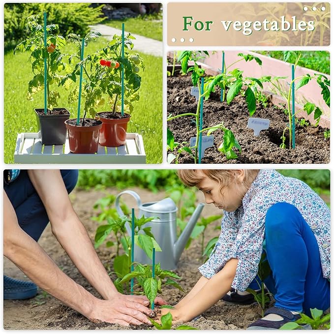 Plant Stake 17 Inch SupKing Wood Plant Sticks 30 Packs Orchid Stakes Sturdy Green Bamboo Plant Support Stake Gardening Floral Potted Plant Support