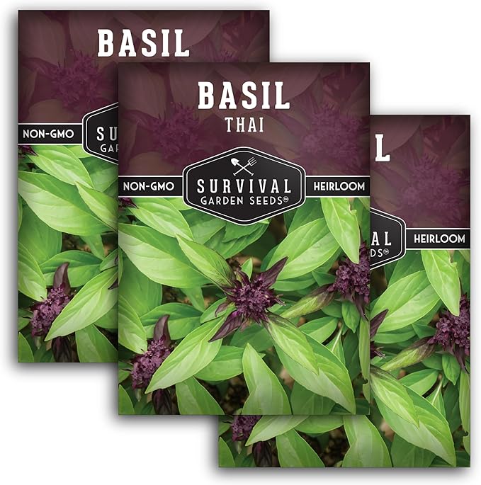 Thai Basil Seeds for Planting – Sweet Thai Basil with Anise Flavor for Asian Cooking – Heirloom Non-GMO Herb Seed for Indoor or Outdoor Gardens – Survival Garden Seeds (3 Pack)