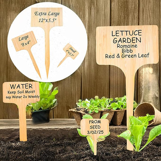 100 Pcs Large 8" Tall Garden Label Plant Signs Eco-Friendly Compostable to Easily Identify Plants, Seeds, Bulbs, Flowers, Vegetables