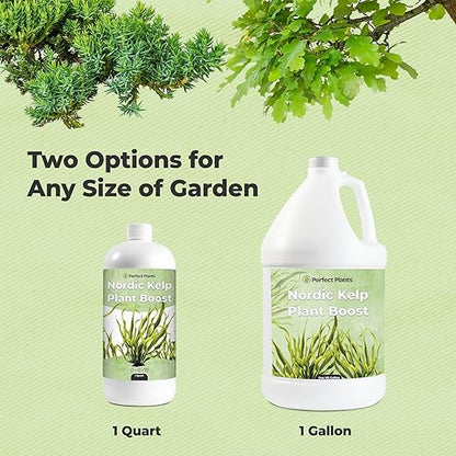 Nordic Kelp Boost Liquid - Perfect Plants (1 Gallon) (Pack of 2)