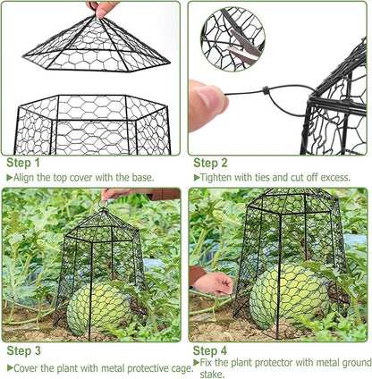 18.5" x 13" Large Plant Protection Cage, 5 Pcs Chicken Wire Cloche, Metal Protectors for Garden Plants, Protecting Fruits and Seedlings from Rabbits, Squirrels and Other Animals