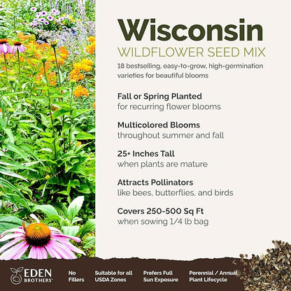 Eden Brothers Wisconsin Wildflower Mixed Seeds for Planting, 1/4 lb, 120,000+ Seeds with Sunflower, Aster | Attracts Pollinators, Plant in Spring or Fall, Zones