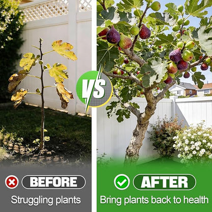 10-10-10 Slow-Release Premium Fertilizer - All-Purpose Plant Food for Indoor Outdoor Gardening Vegetables Flowers Lawn Trees Shrubs, 1 Quart