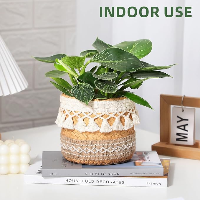 Concrete Rattan-Style Plant Basket Planter, 5" Boho Plant Pots Indoor Outdoor with Drainage Hole, Flower Pot for Succulents, Herbs, Modern Farmhouse Decor, Ideal Gift for Plant Lovers