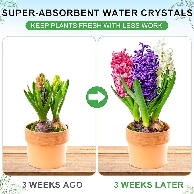 XSEINO 1.5LB Soil Moisture Crystals Water-Absorbing Hydrogel for Plants Solves Over and Under-Watering, Long-Lasting Water Retention to Keep Soil Moist Polymer Water Storage Crystals