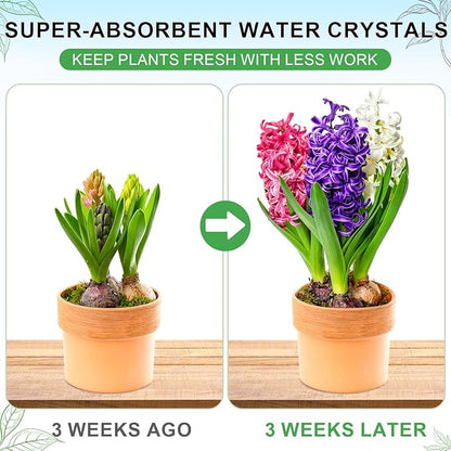 XSEINO 2.5LB Soil Moisture Crystals Water-Absorbing Hydrogel for Plants Solves Over and Under-Watering, Long-Lasting Water Retention to Keep Soil Moist Polymer Water Storage Crystals