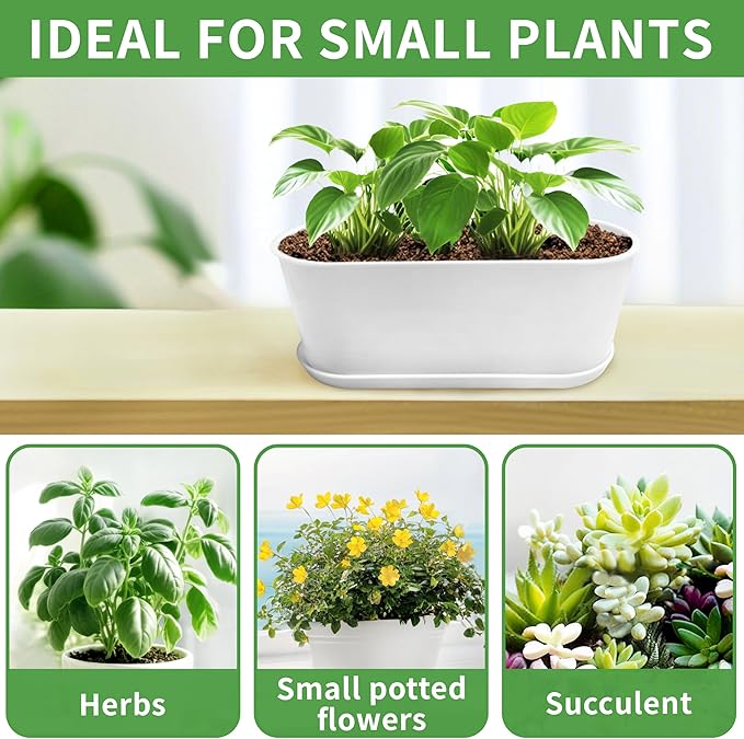 Window Box Planter with Saucers,10 Sets Rectangular Planter with Multiple Drainage Holes and Trays Plant Pots, for Succulent Cactus Flowers Vegetable