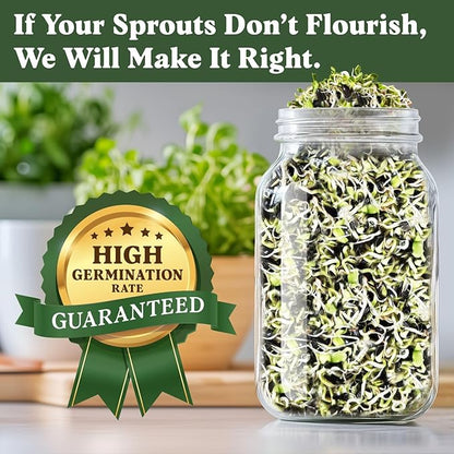 Seedboy Organic Sunflower Seeds for Sprouting - Non-GMO, USA Grown Microgreens Sprouting Seeds Mix - Makes 4 Quarts of Sprouts, 16 Servings (8 oz) (Black Oil Sunflower)
