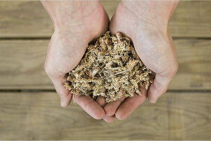 Soil Sunrise Sphagnum Moss Potting Mix (1 Quart) for Carnivorous Plants: Blend of Dried Moss with Perlite