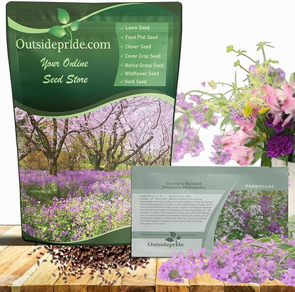 Outsidepride Dame's Rocket Flower Seeds - 1 Lb. Perennial, Easy to Grow, Deer Resistant & Self-Seeding Wildflower Seeds for Planting Vibrant and Fragrant Blooms in Pollinator & Butterfly Gardens
