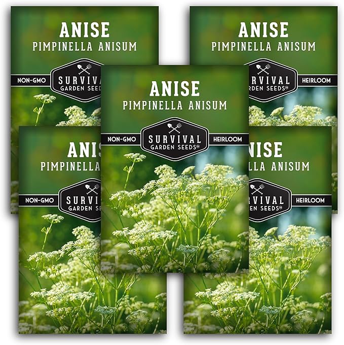 Anise Seeds for Planting - Sweet Anise Herb (Pimpinella anisum) - Culinary and Tea Garden Variety, Heirloom Non GMO - Survival Garden Seeds (5 Pack)