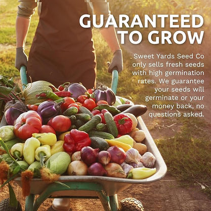 Organic San Marzano Tomato Seeds – Two Seed Packets! – Over 102 Open Pollinated Heirloom Non-GMO Seeds – Sweet Yards Seed Co.