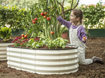 Plant & Plot Galvanized Raised Garden Beds Outdoor // 4×2×1 ft Planter Raised Beds for Gardening, Vegetables, Flowers // Large Metal Garden Box (White) // Patented Tool-Free Design