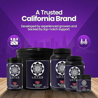 Boost Pro Series Bloom Booster and Yield Enhancer, Boost Any Plant Feeding Recipe for Turbo-Charged Flower Density/Oil Production, Amino Nitrogen Formula for Soil, Hydroponics and Coco Coir - 36 oz