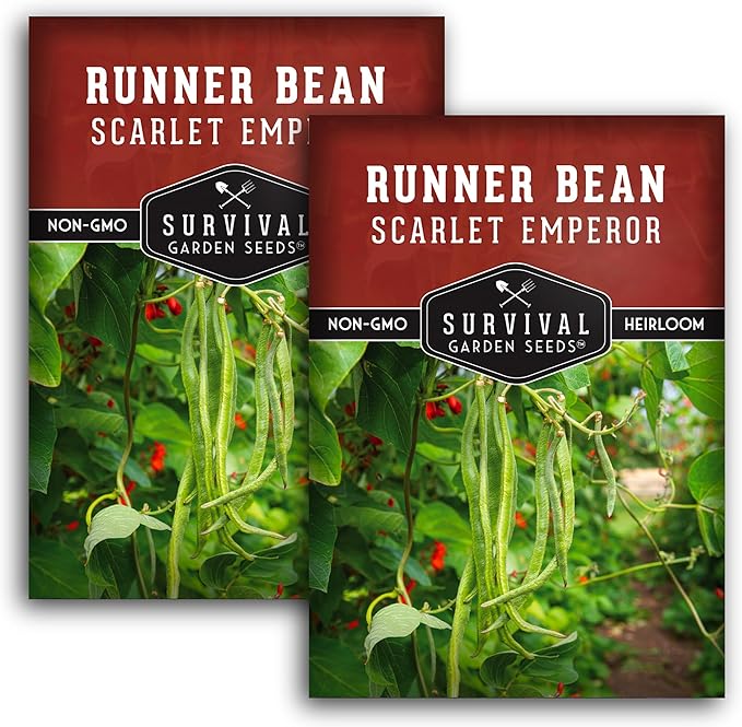 Survival Garden Seeds Scarlet Emperor Runner Bean Seeds for Planting - 2 Packets with Instructions to Plant & Grow Red Multiflora Beans in Your Home Vegetable Garden - Non-GMO Heirloom Variety