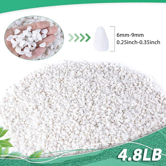 Succulent Rocks for Plants Tiny Pebbles for Planters 4.8LB Pea Gravel Bulk Course Sand Soil Small Decorative Stones for Indoor Bonsai Pots Cactus Top Dressing Aquarium Garden Landscape, White