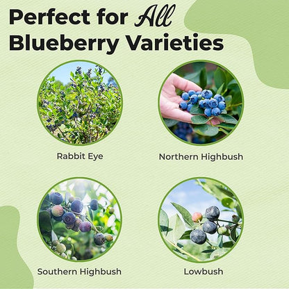 Specialty Blueberry Potting Mix by Perfect Plants | Organic Premium Mix | Use with Blueberry's, Raspberry, or Other Fruit Shrubs (8qt) (Pack of 2)